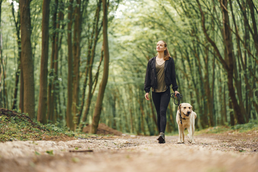 Marcher en forêt permet de recharger les batteries et de réduire son niveau de stress